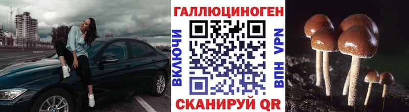 наркота  Алексин  Галлюциногенные грибы Psilocybe 