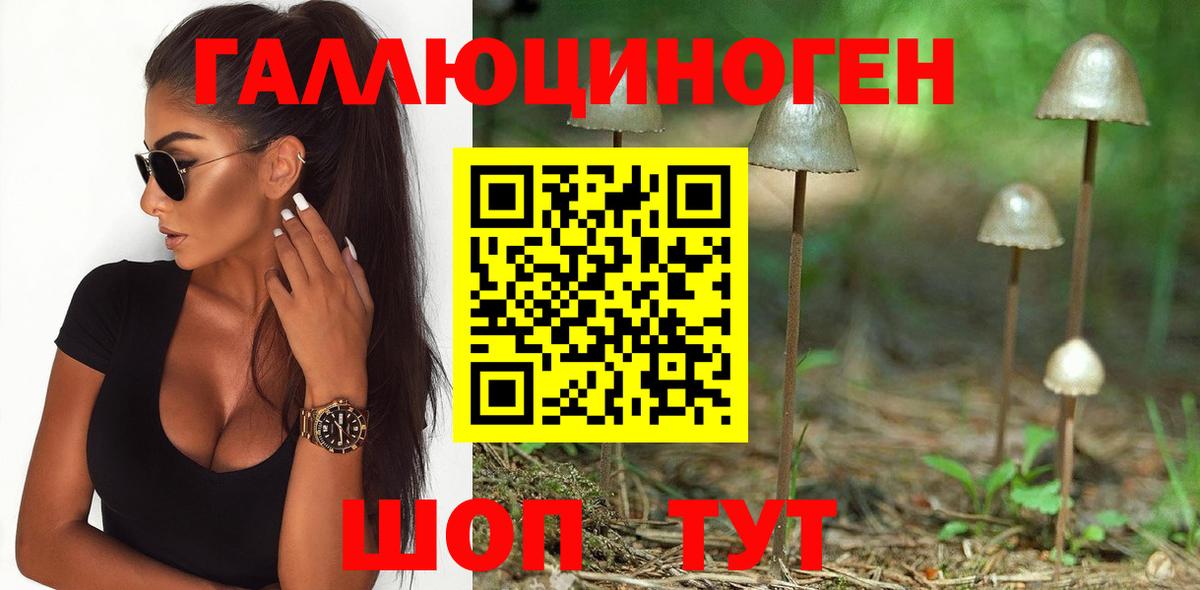 Псилоцибиновые грибы Cubensis Алексин