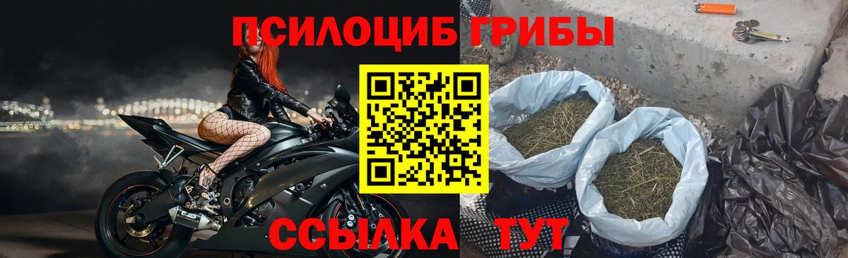 Псилоцибиновые грибы MAGIC MUSHROOMS  Псилоцибиновые грибы MAGIC MUSHROOMS  Алексин 